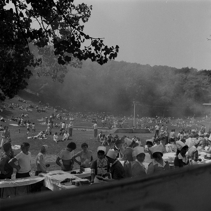 minerva_1984_c2_c2r5_001