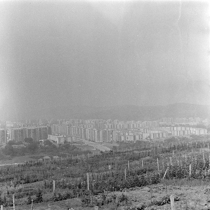 minerva_1984_c2_c2r5_005