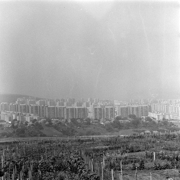 minerva_1984_c2_c2r5_006