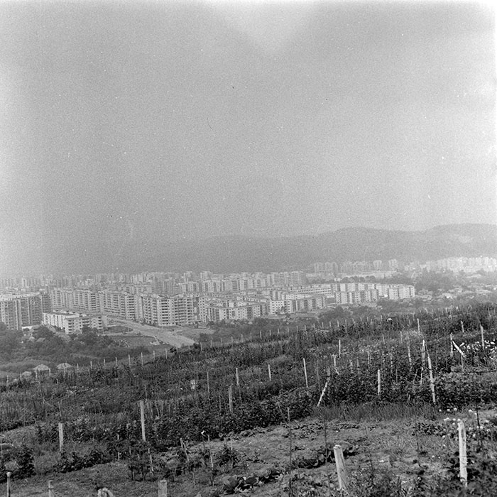 minerva_1984_c2_c2r5_007