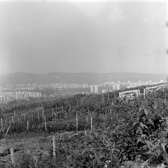 minerva_1984_c2_c2r5_008