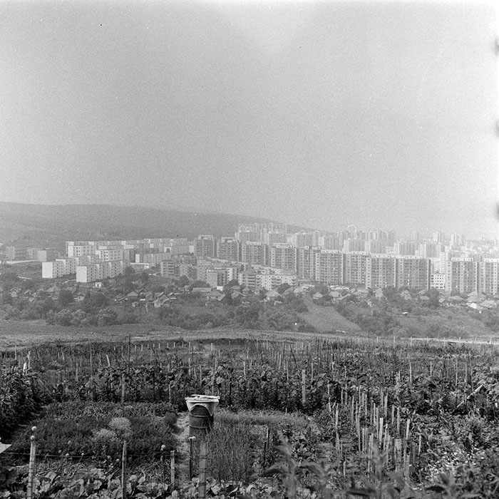 minerva_1984_c2_c2r5_009