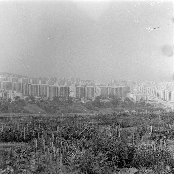 minerva_1984_c2_c2r5_010