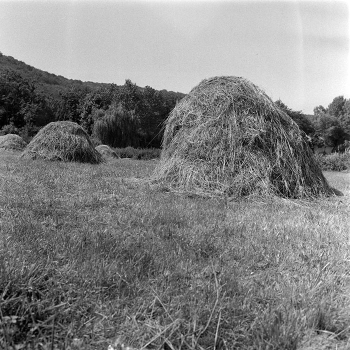 minerva_1984_c2_c3r5_006