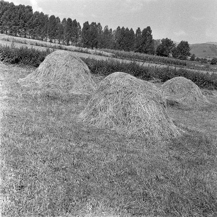 minerva_1984_c2_c3r5_008