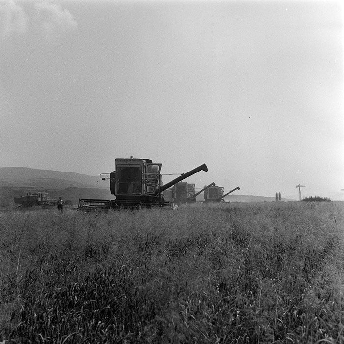 minerva_1984_c2_c3r5_009