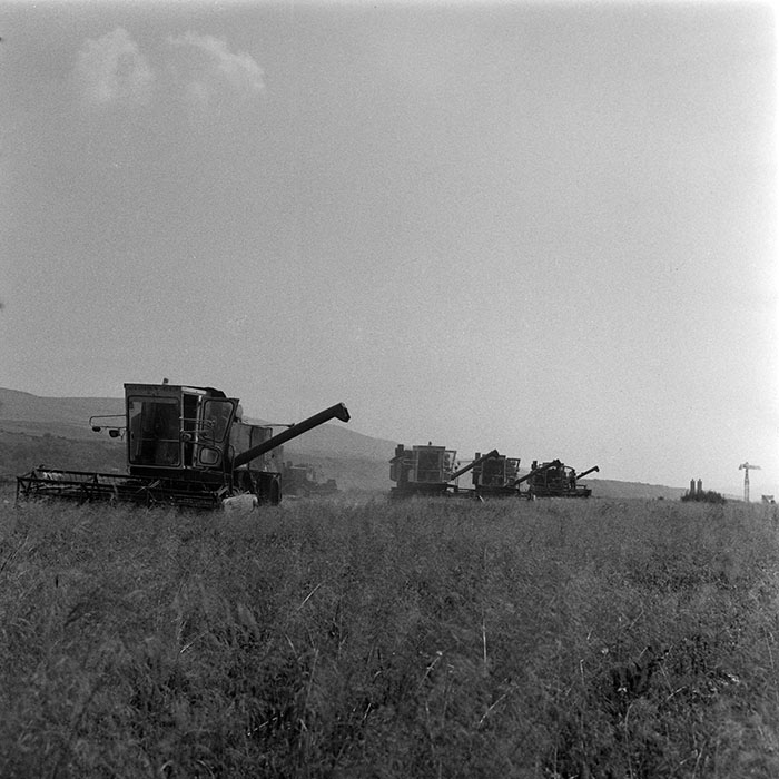 minerva_1984_c2_c3r5_010