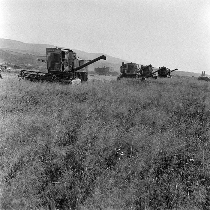 minerva_1984_c2_c3r5_011