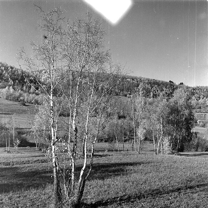 minerva_1984_c2_c4r1_004