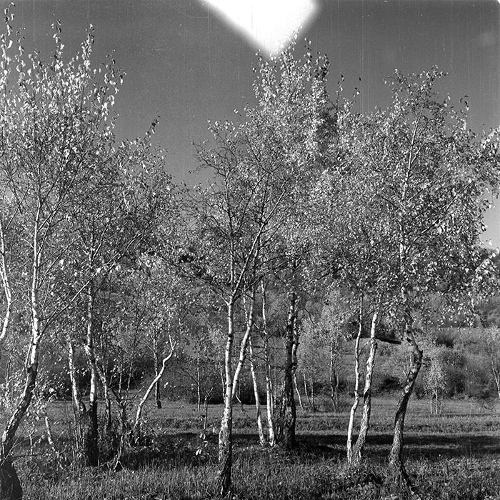 minerva_1984_c2_c4r1_005