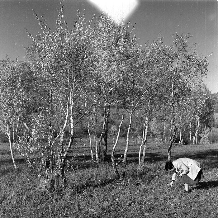 minerva_1984_c2_c4r1_007