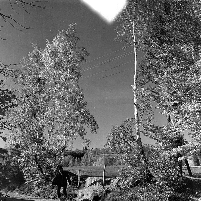 minerva_1984_c2_c4r1_010