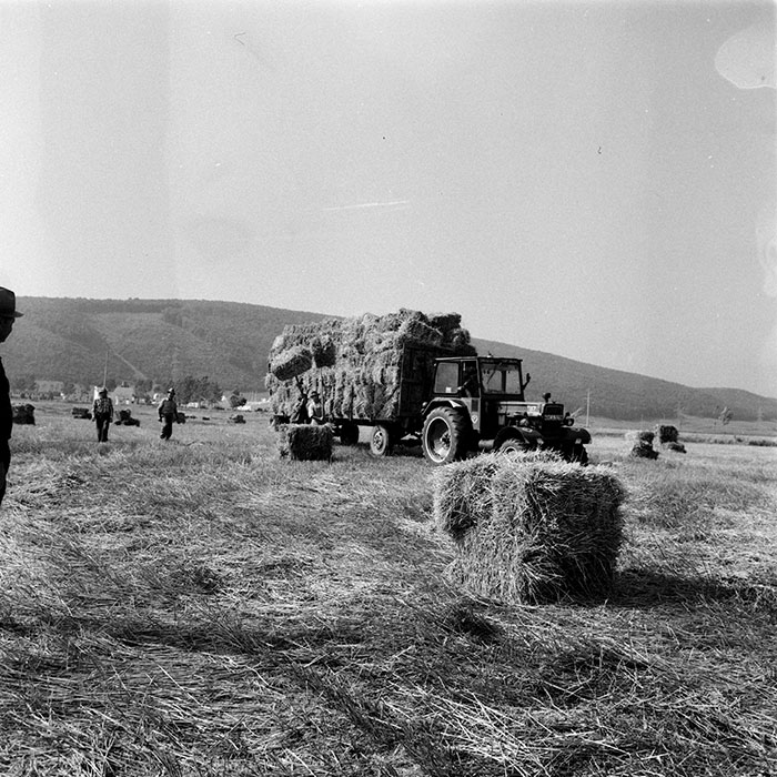 minerva_1984_c2_c4r2_001