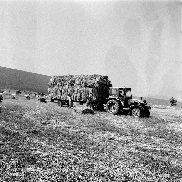 minerva_1984_c2_c4r2_002