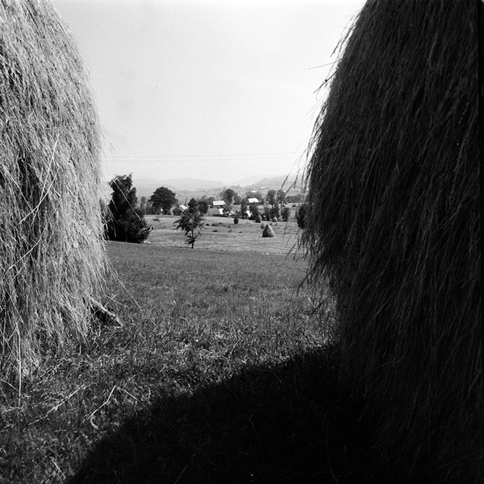 minerva_1984_c2_c4r2_010