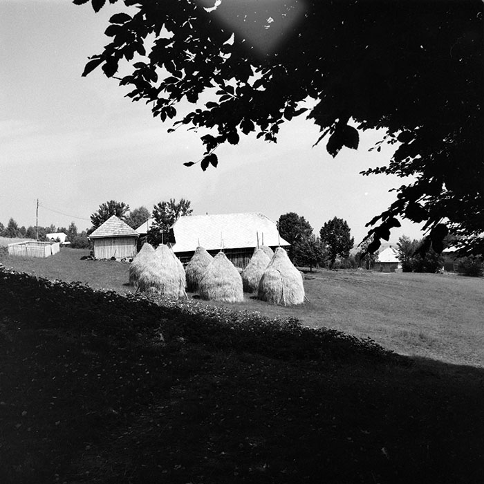 minerva_1984_c2_c4r2_011