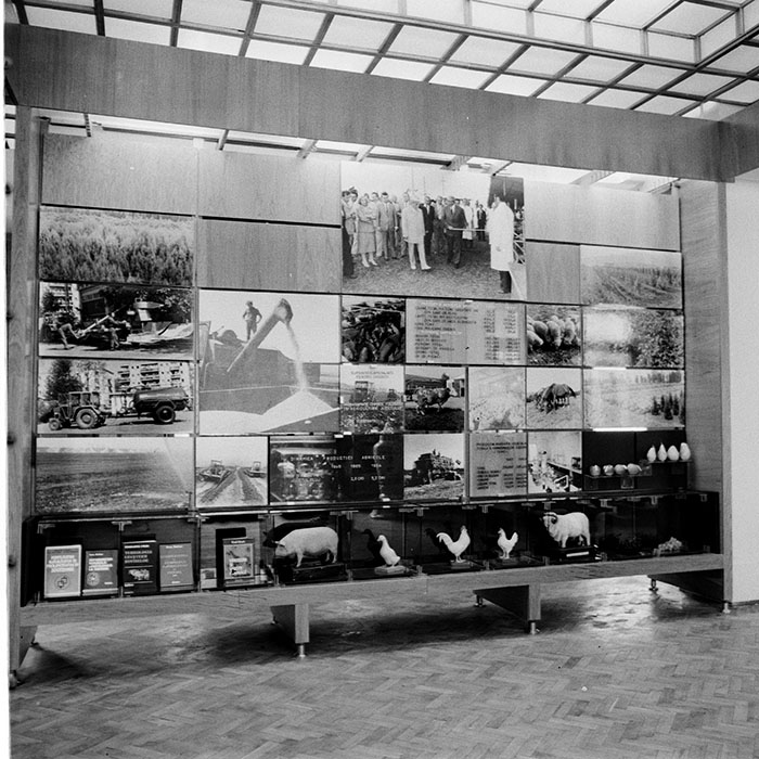 minerva_1984_c2_c4r5_017