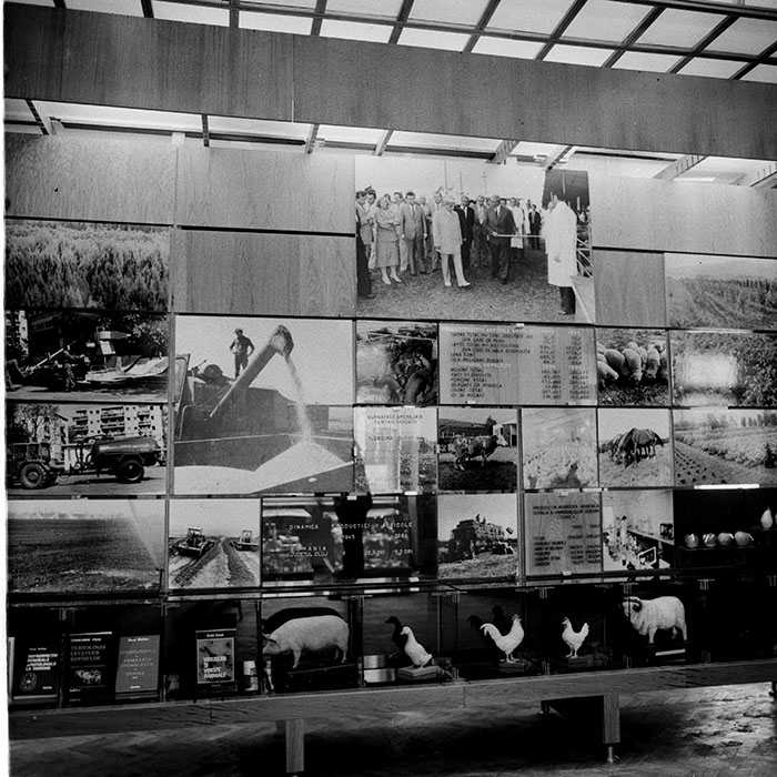 minerva_1984_c2_c4r5_018