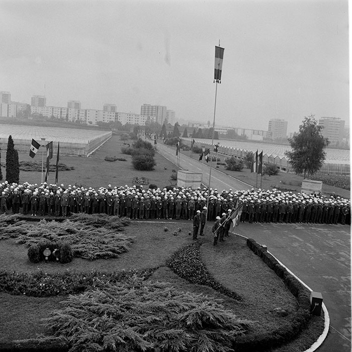 minerva_1984_c2_c5r2_003