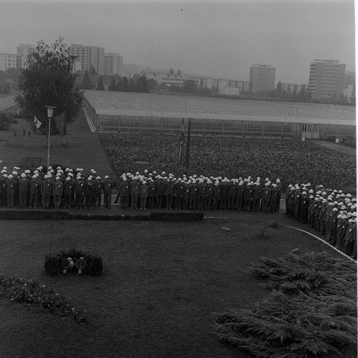 minerva_1984_c2_c5r2_024