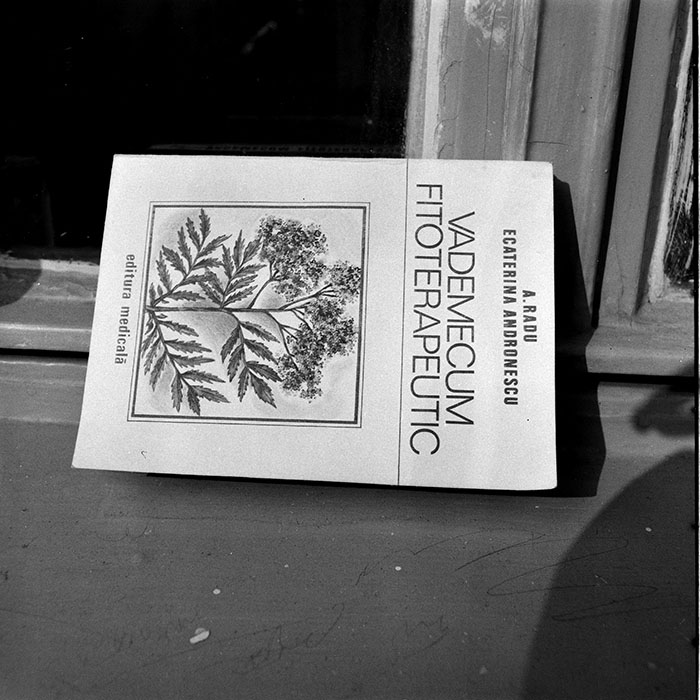 minerva_1984_c2_c6r1_023