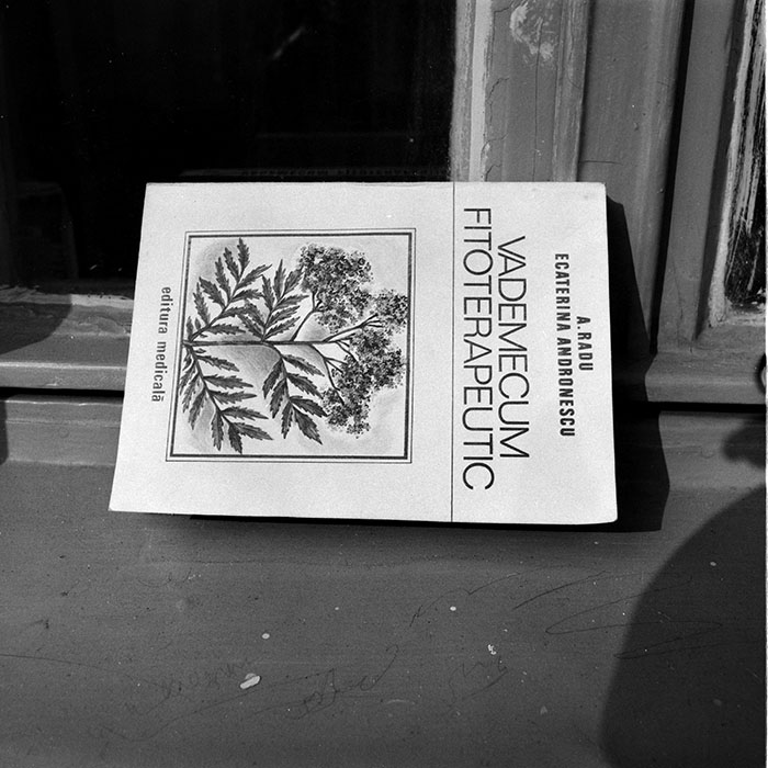 minerva_1984_c2_c6r1_024