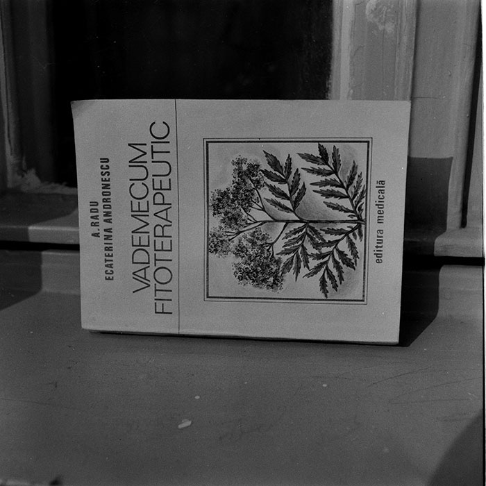 minerva_1984_c2_c6r1_025