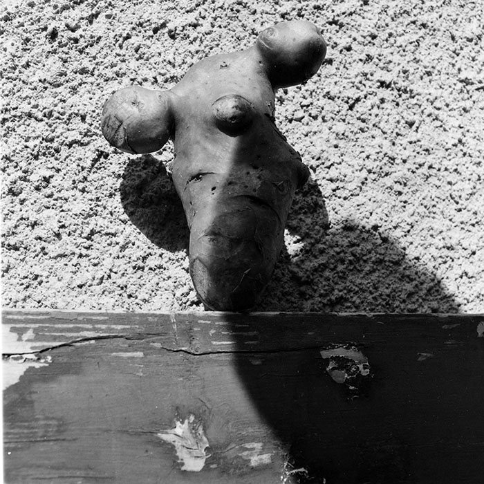 minerva_1984_c2_c6r2_005