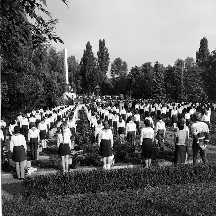 minerva_1984_c2_c6r3_015