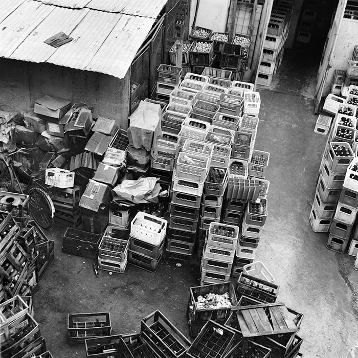 minerva_1984_c2_c6r4_025