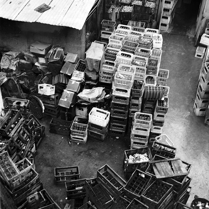 minerva_1984_c2_c6r4_026