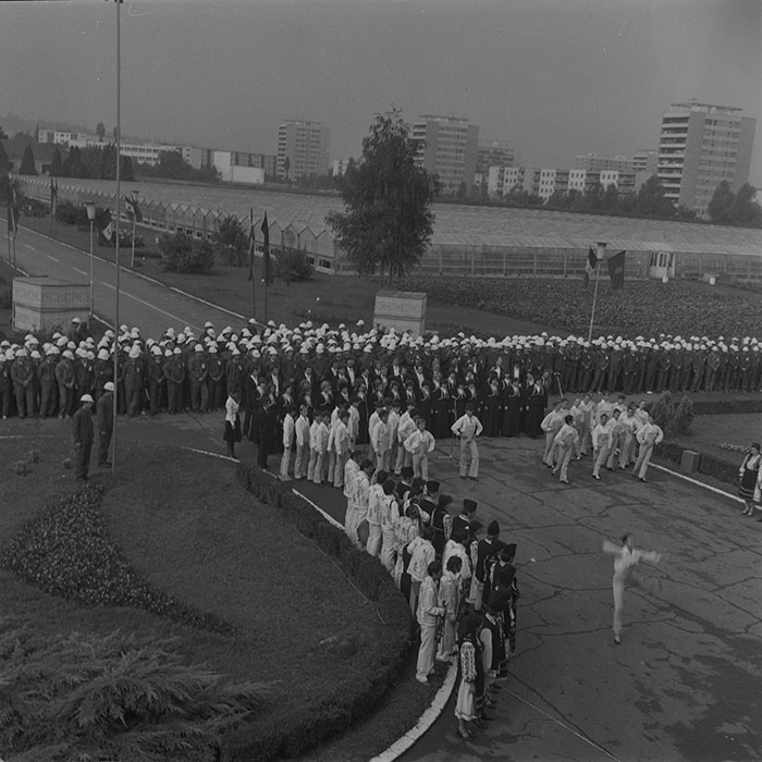 minerva_1984_c2_c6r5_001