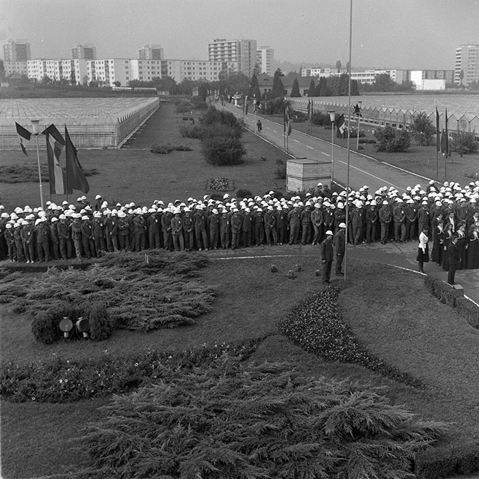 minerva_1984_c2_c6r5_003