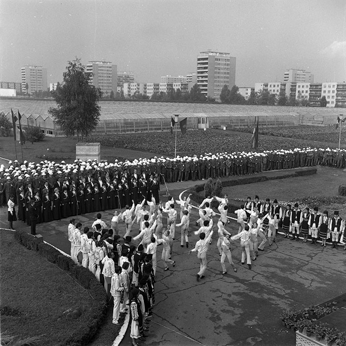 minerva_1984_c2_c6r5_004