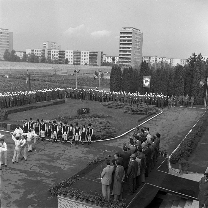 minerva_1984_c2_c6r5_005