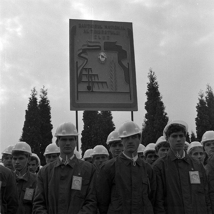 minerva_1984_c2_c6r5_008