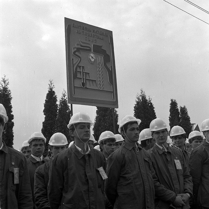 minerva_1984_c2_c6r5_009