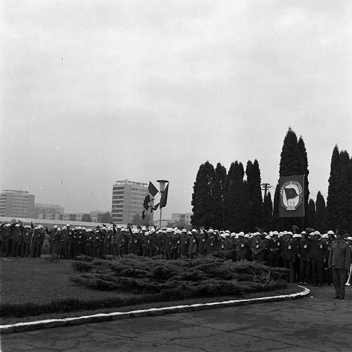 minerva_1984_c2_c6r5_010