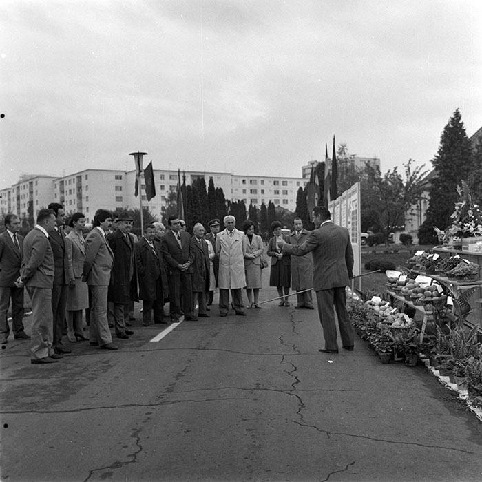 minerva_1984_c2_c6r5_021