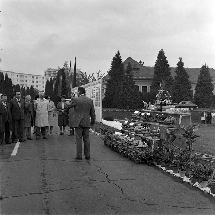 minerva_1984_c2_c6r5_023