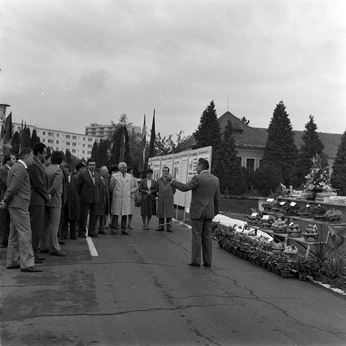 minerva_1984_c2_c6r5_024