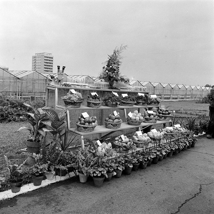 minerva_1984_c2_c6r5_025