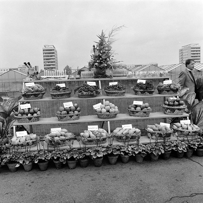 minerva_1984_c2_c6r5_026