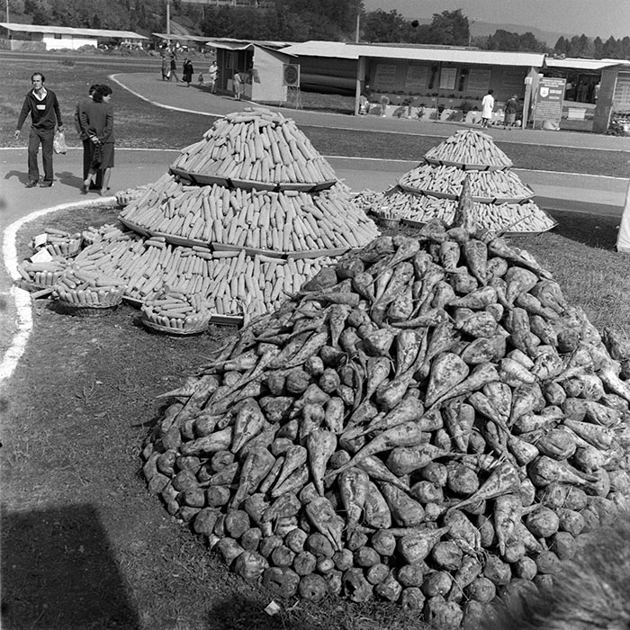 minerva_1984_c2_c7r2_004