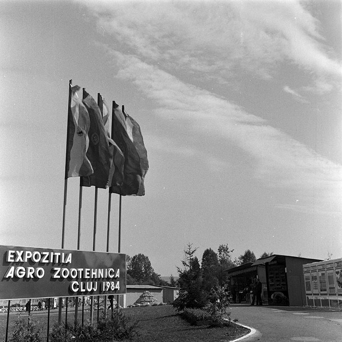 minerva_1984_c2_c7r2_005