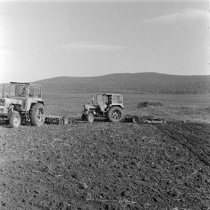 minerva_1984_c2_c7r2_008