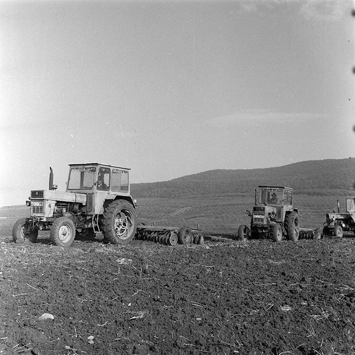 minerva_1984_c2_c7r2_009