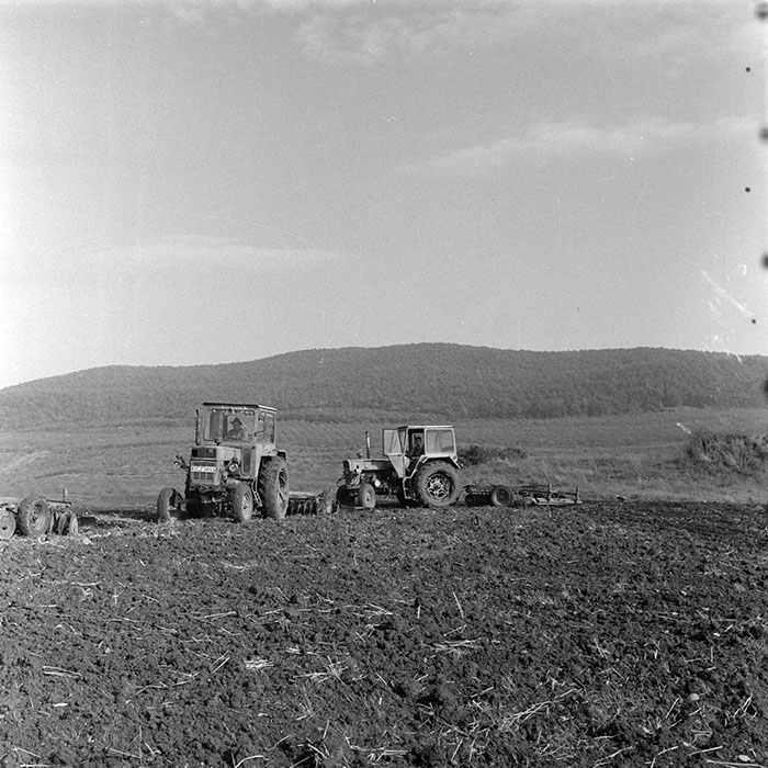 minerva_1984_c2_c7r2_010