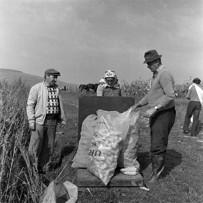 minerva_1984_c2_c7r2_015