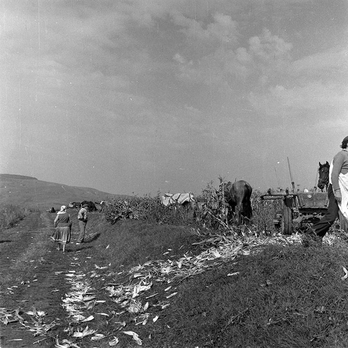 minerva_1984_c2_c7r2_016